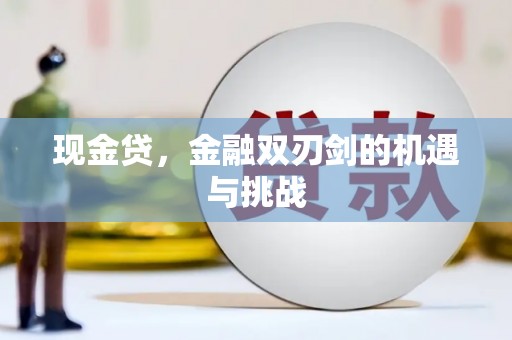 汝阳现金贷，金融双刃剑的机遇与挑战