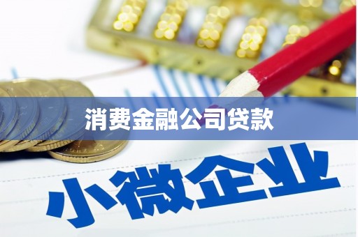 汝阳消费金融公司贷款