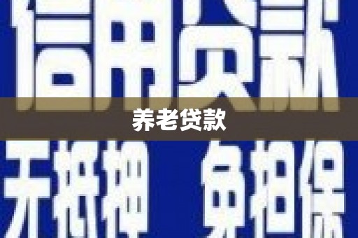 汝阳养老贷款