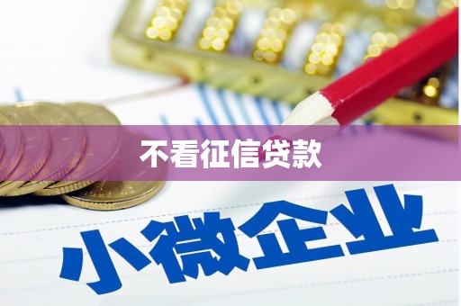 汝阳不看征信贷款