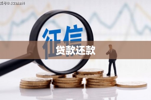 汝阳贷款还款
