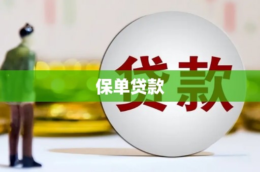 汝阳保单贷款