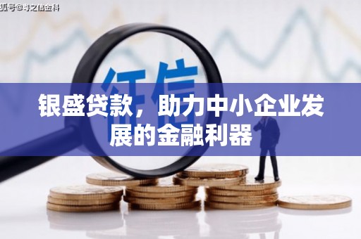 汝阳银盛贷款，助力中小企业发展的金融利器