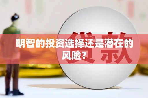 汝阳明智的投资选择还是潜在的风险？
