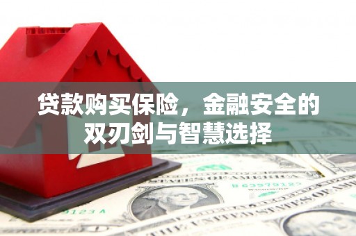 汝阳贷款购买保险，金融安全的双刃剑与智慧选择