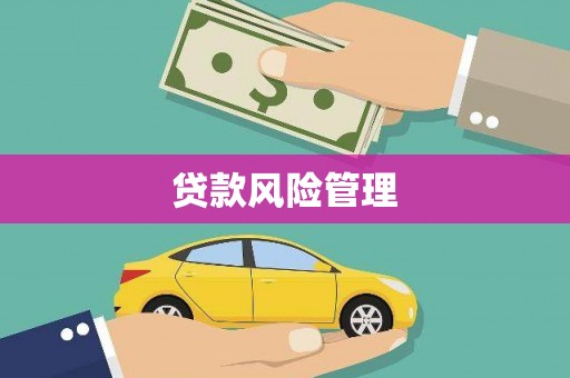 汝阳贷款风险管理