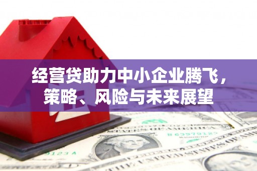 汝阳经营贷助力中小企业腾飞，策略、风险与未来展望