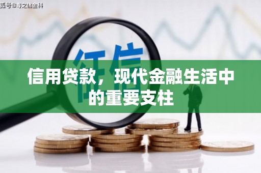 汝阳信用贷款，现代金融生活中的重要支柱