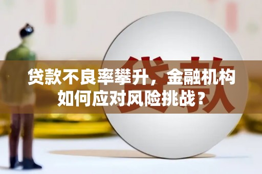 汝阳贷款不良率攀升，金融机构如何应对风险挑战？