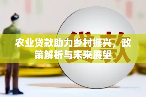 汝阳农业贷款助力乡村振兴，政策解析与未来展望
