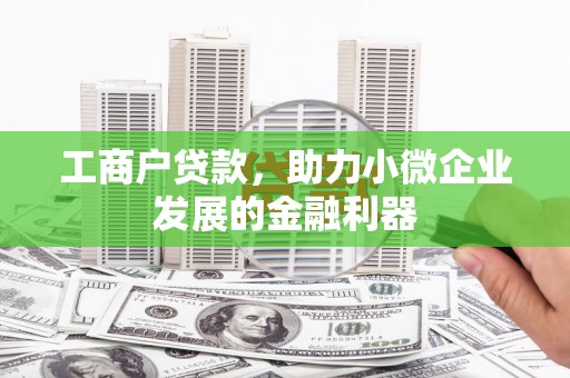 汝阳工商户贷款，助力小微企业发展的金融利器