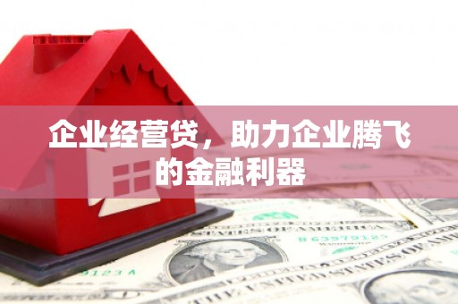 汝阳企业经营贷，助力企业腾飞的金融利器