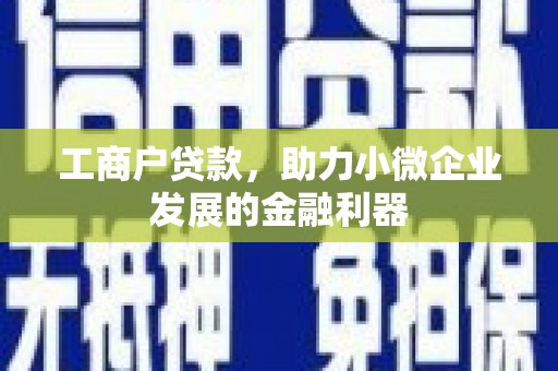 汝阳工商户贷款，助力小微企业发展的金融利器