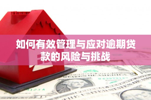 汝阳如何有效管理与应对逾期贷款的风险与挑战