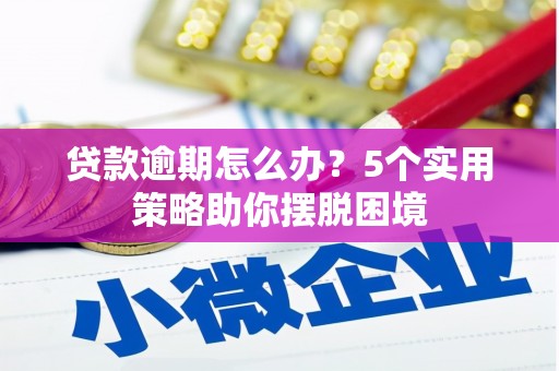 汝阳贷款逾期怎么办？5个实用策略助你摆脱困境