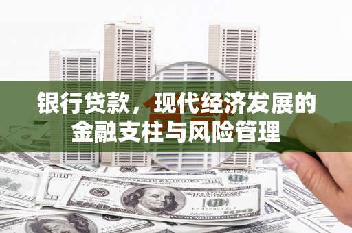汝阳银行贷款，现代经济发展的金融支柱与风险管理