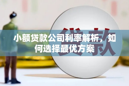 汝阳小额贷款公司利率解析，如何选择最优方案