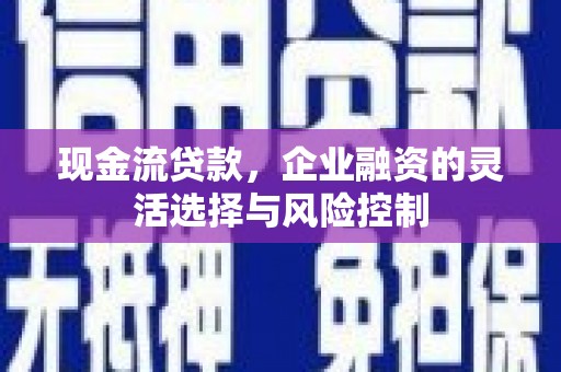 汝阳现金流贷款，企业融资的灵活选择与风险控制