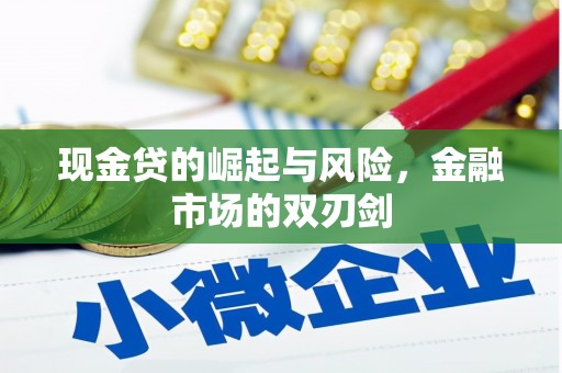 汝阳现金贷的崛起与风险，金融市场的双刃剑