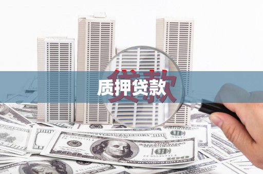 汝阳质押贷款