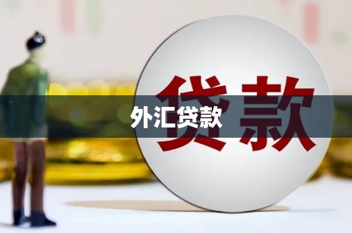 汝阳外汇贷款