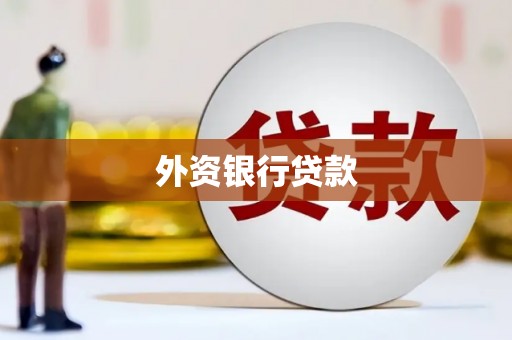 汝阳外资银行贷款