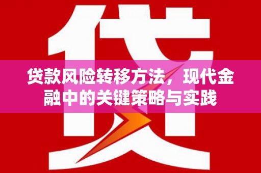 汝阳贷款风险转移方法，现代金融中的关键策略与实践