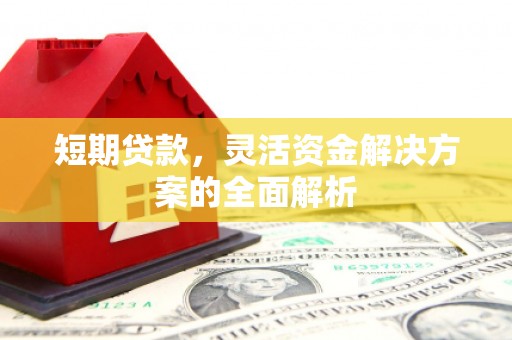 汝阳短期贷款，灵活资金解决方案的全面解析
