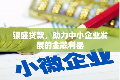 汝阳银盛贷款，助力中小企业发展的金融利器