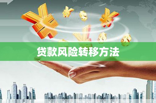 汝阳贷款风险转移方法