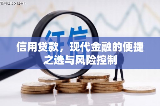 汝阳信用贷款，现代金融的便捷之选与风险控制