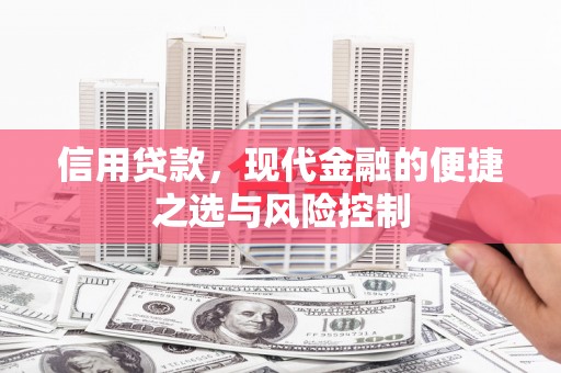 汝阳信用贷款，现代金融的便捷之选与风险控制