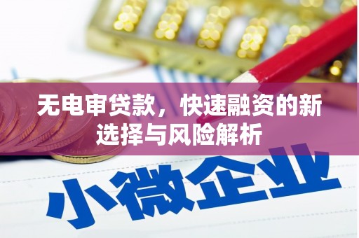 汝阳无电审贷款，快速融资的新选择与风险解析