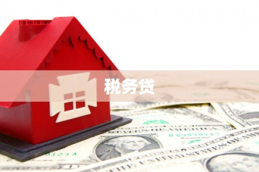 汝阳税务贷