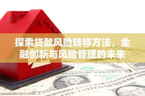 汝阳探索贷款风险转移方法，金融创新与风险管理的未来