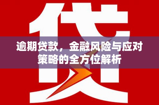 汝阳逾期贷款，金融风险与应对策略的全方位解析