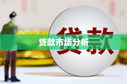 汝阳贷款市场分析