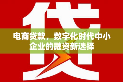 汝阳电商贷款，数字化时代中小企业的融资新选择