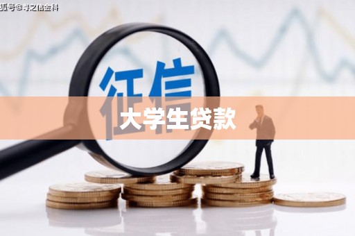 汝阳大学生贷款
