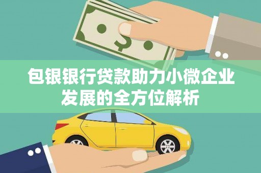 汝阳包银银行贷款助力小微企业发展的全方位解析