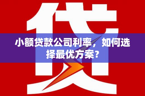 汝阳小额贷款公司利率，如何选择最优方案？