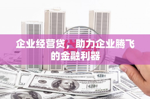 汝阳企业经营贷，助力企业腾飞的金融利器