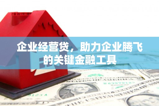 汝阳企业经营贷，助力企业腾飞的关键金融工具
