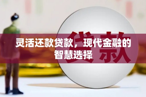 汝阳灵活还款贷款，现代金融的智慧选择