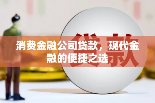 汝阳消费金融公司贷款，现代金融的便捷之选