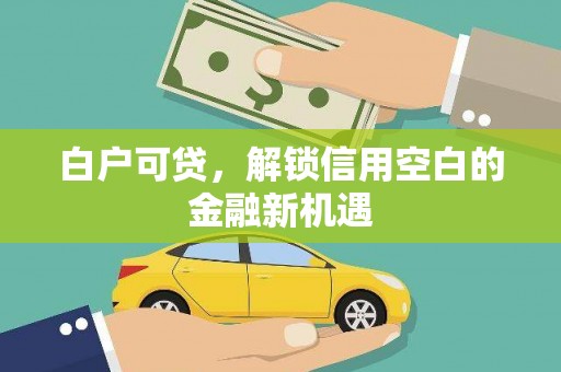 汝阳白户可贷，解锁信用空白的金融新机遇