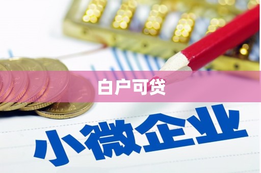 汝阳白户可贷