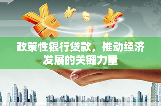 汝阳政策性银行贷款，推动经济发展的关键力量