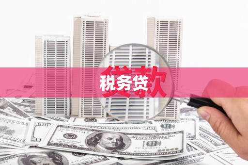 汝阳税务贷