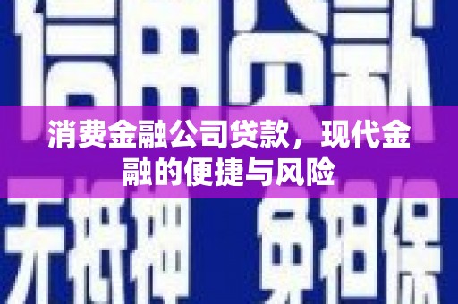 汝阳消费金融公司贷款，现代金融的便捷与风险